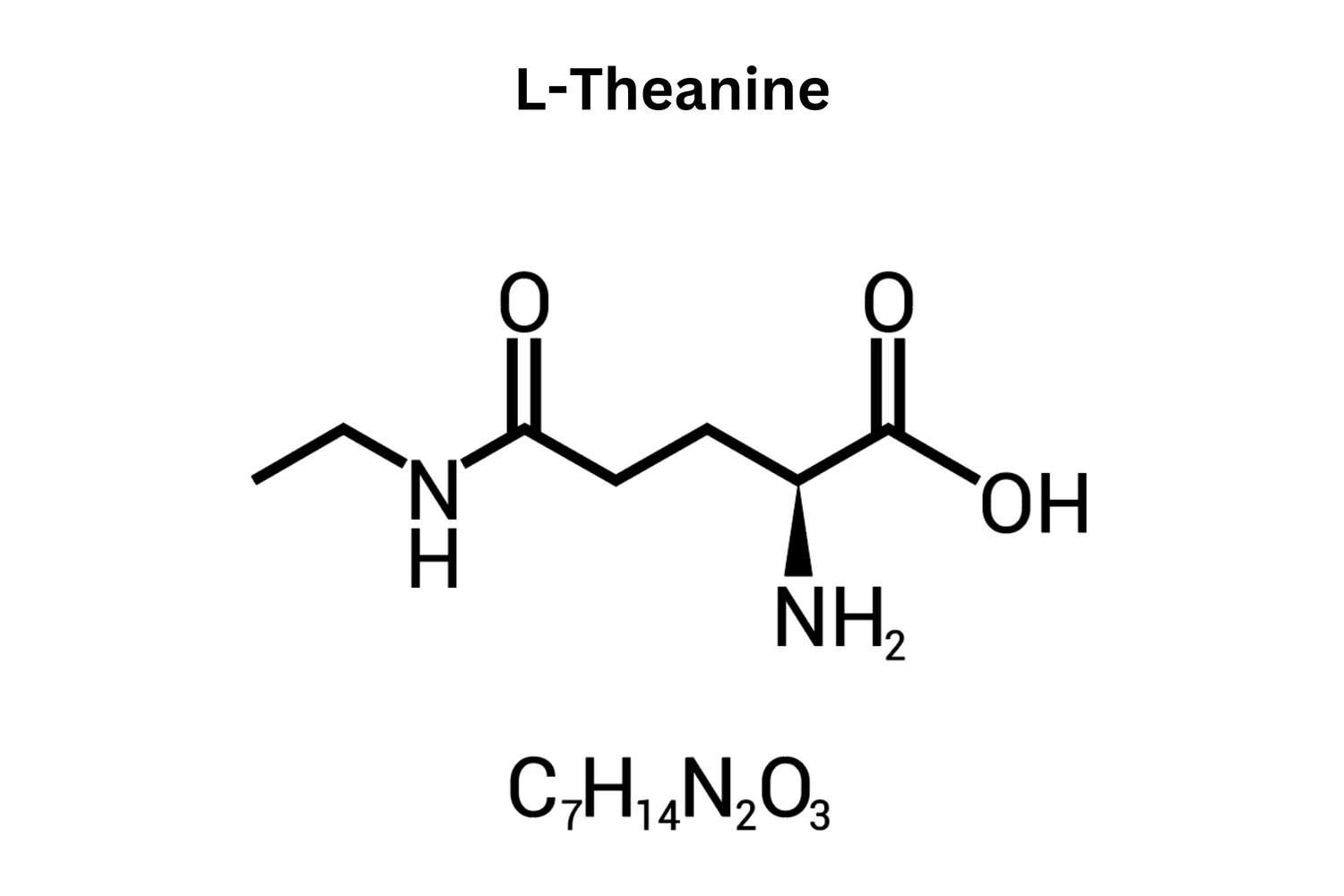 the molecular structure of l-theanine