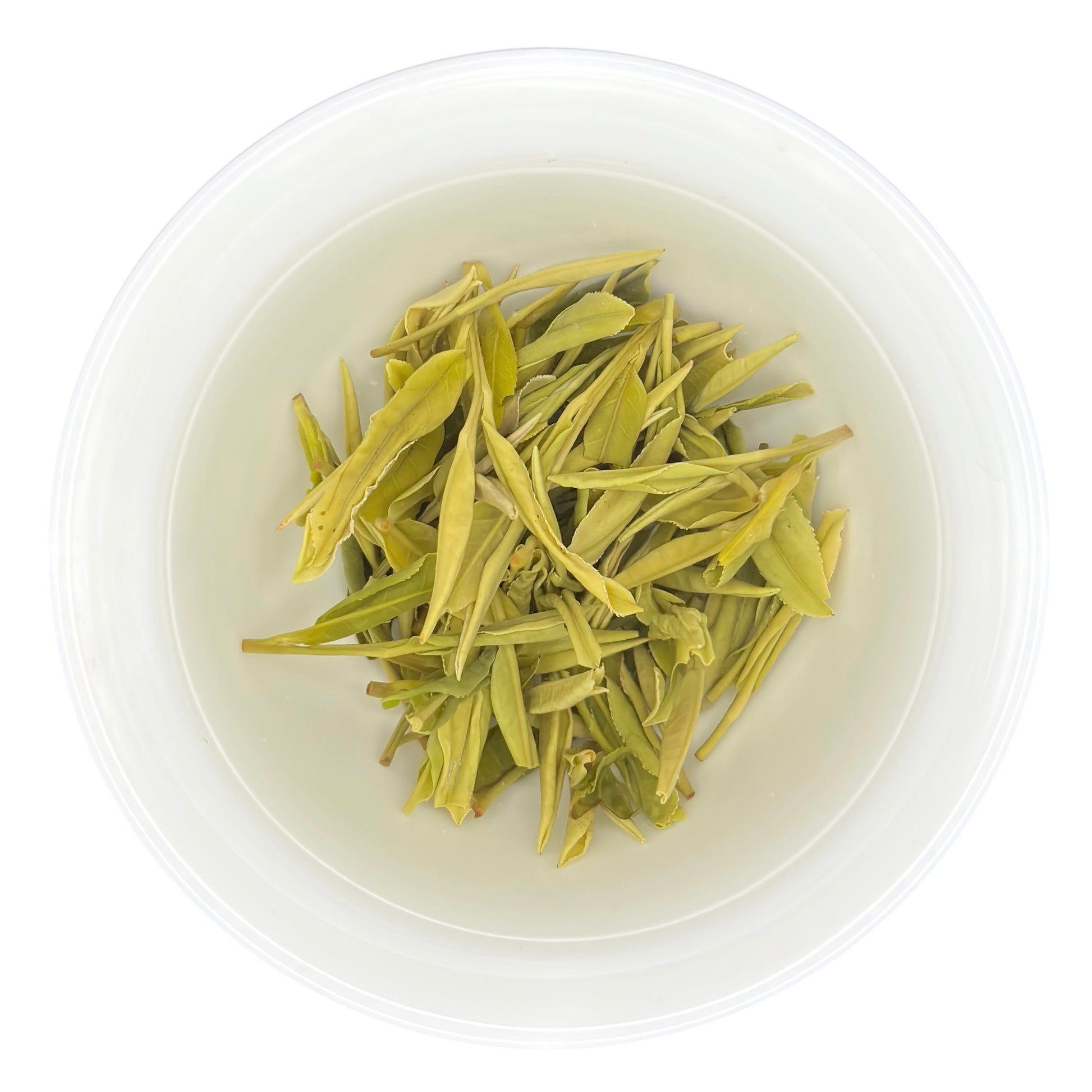 the infused leaves of anji bai cha (anji pearl tips)