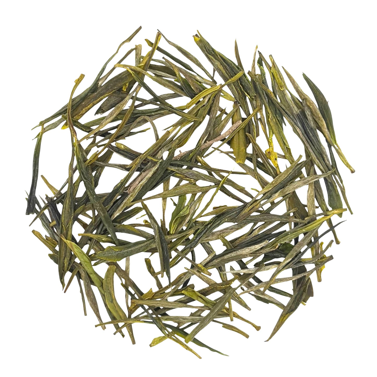 a circle of anji bai cha (anji pearl tips) leaves