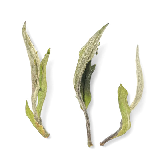 close up of 3 leaves of bai mu dan (white peony) tea