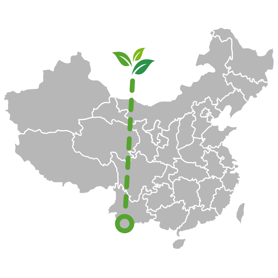 a map of where yunnan black (dian hong) tea is grown, in Yunnan, China